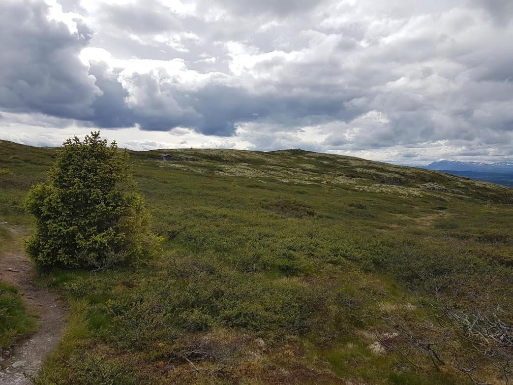 Bed and Breakfast Hos Blafjelldal, Bagn I Valdres Экстерьер фото