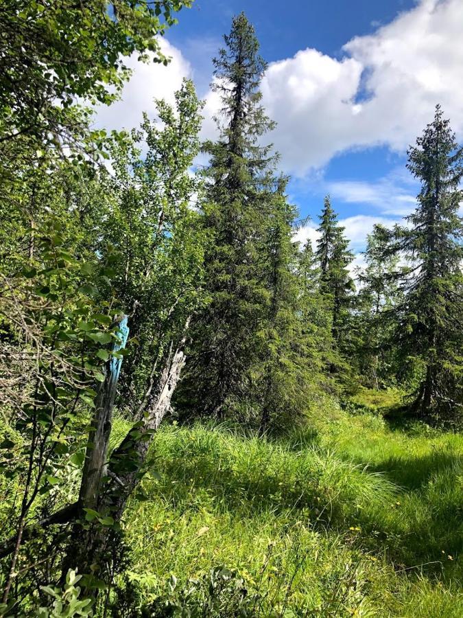 Bed and Breakfast Hos Blafjelldal, Bagn I Valdres Экстерьер фото