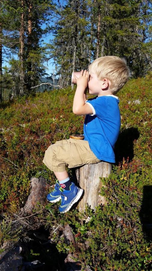 Bed and Breakfast Hos Blafjelldal, Bagn I Valdres Экстерьер фото